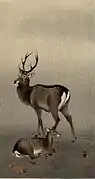 Rehe