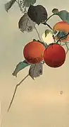 Vogel und Kaki