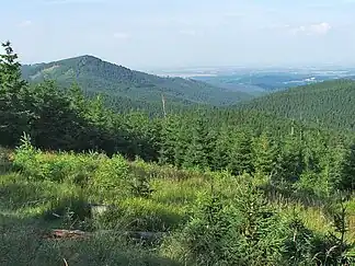 Der Berg Kowadło im Reichensteiner Gebirge