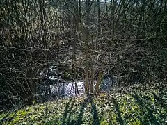 Mündung in den Haldenbach