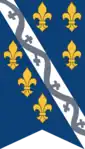Vermeintliches Banner der Kotromanić (1377–1463)