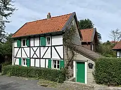 Krausen 32