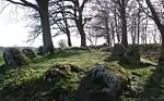 Das östliche Langbett auf dem Ruserberg
