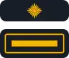 Kreisfeuerwehrinspekteur/-in