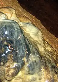 Durch Berührung abgestorbener Stalagmit in der Kubacher Kristallhöhle