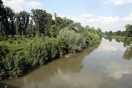 Der Altrhein bei Stockstadt am Rhein. Links vom Fluss das Naturreservat.
