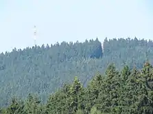Die Bäume überragen den Turm in einer Schneise
