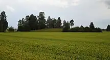 Der Hügel Lammasmägi