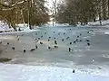 Der winterliche Schlosspark