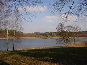 Lähnwitzsee (2016)