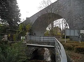 Die Seltenrein