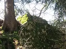 Burg Löwenstein (Ilanz)