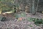Großsteingrab Lübberstedt 1