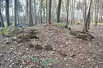 Großsteingrab Lübberstedt 3