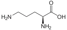 Ornithin