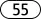 L55