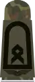 Aufschiebeschlaufe Oberfähnrich (Feld­anzug Luftwaffen­uniformträger) (Grundform wie Hauptfeldwebel)