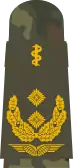 Aufschiebe­schlaufe Generalstabsarzt (Feldanzug Luft­waf­fen­uniform­träger Arzt)