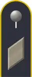 Dienstgradabzeichen auf der Schulterklappe der Jacke des Dienstanzuges für Luftwaffenuniformträger.
