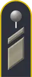 Dienstgradabzeichen auf der Schulterklappe der Jacke des Dienstanzuges für Luftwaffenuniformträger.