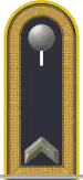 Dienstgradabzeichen auf der Schulterklappe der Jacke des Dienstanzuges für Luftwaffenuniformträger.