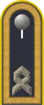 Jacke Dienstanzug Luftwaffenuniformträger