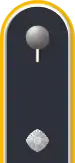 Dienstgradabzeichen auf der Schulterklappe der Jacke des Dienstanzuges für Luftwaffenuniformträger.