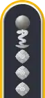 Dienstgradabzeichen auf der Schulterklappe der Jacke des Dienstanzuges für Luftwaffenuniformträger