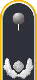 Jacke Dienstanzug Luftwaffenuniformträger