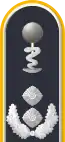 Dienstgradabzeichen auf der Schulterklappe der Jacke des Dienstanzuges für Luftwaffenuniformträger.