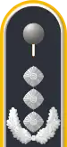 Dienstgradabzeichen auf der Schulterklappe der Jacke des Dienstanzuges für Luftwaffenuniformträger