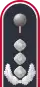Dienstanzug Oberst i. G. Luftwaffenuniformträger