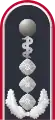 Dienstgradabzeichen eines Oberstarztes i. G. (Approbation für Humanmedizin) auf der Schulterklappe der Jacke des Dienstanzuges für Luftwaffenuniformträger
