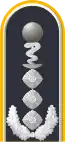 Dienstgradabzeichen auf der Schulterklappe der Jacke des Dienstanzuges für Luftwaffenuniformträger.
