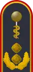 Dienstgradabzeichen eines Generalstabsarztes (Approbation für Humanmedizin) auf der Schulterklappe der Jacke des Dienstanzuges für Luftwaffenuniformträger
