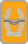 gestickte Kragenspiegel für Offiziere und Oberfähnriche (außer Generale und Offiziere im Generalstabsdienst) der Luftwaffe
