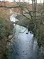 Ausbauende des Trassenradwegs in Gevelsberg-Silschede, vernässter Einschnitt, Amphibien-Laichgewässer