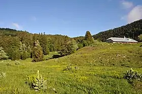 La Combe du Faoug