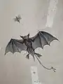 Fledermaus von Schnug an der Boutique Culture in Straßburg