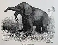 Tier „Dinothérium“ in Louis Figuier: La terre avant le déluge. Paris 1864.