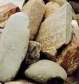 Manisteine in Ladakh