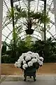 Abzweigung zwischen dem "Jardin d'hiver" und der Orangerie