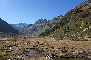 Längental mit Längentalbach und Niedermoor