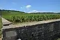 Lage Romanée-Conti in Vosne-Romanée 2016