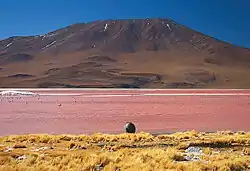 Laguna Colorada im Kanton Quetena Grande