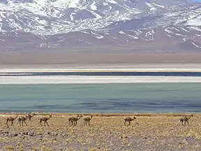Laguna Santa Rosa