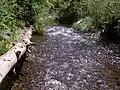 Lagunitas Creek, ein kleiner Fluss, der den Park durchzieht