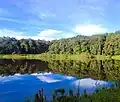 Tambing See