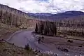 Durch die Brände im Yellowstone-Nationalpark 1988 abgebrannte Gebiete am Fluss