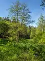 Saarland